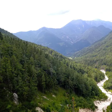 & Glamping Grintovec * 普雷德沃尔