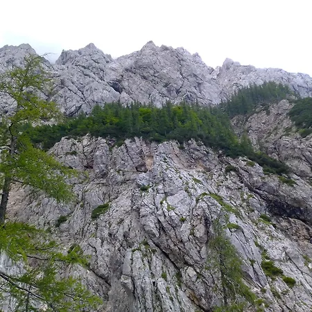 Luxury tent & Glamping Grintovec *