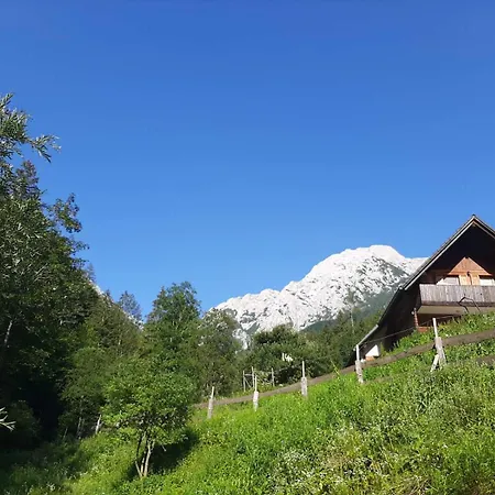 & Glamping Grintovec Luxury tent *