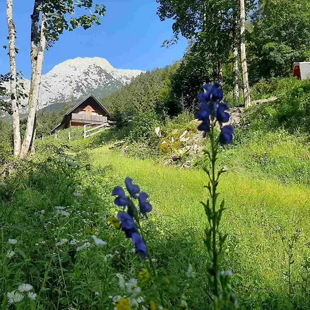 & Glamping Grintovec Luxury tent *