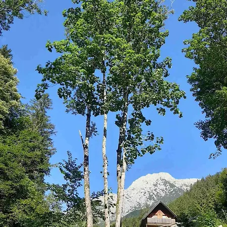 & Glamping Grintovec 豪华帐篷 普雷德沃尔