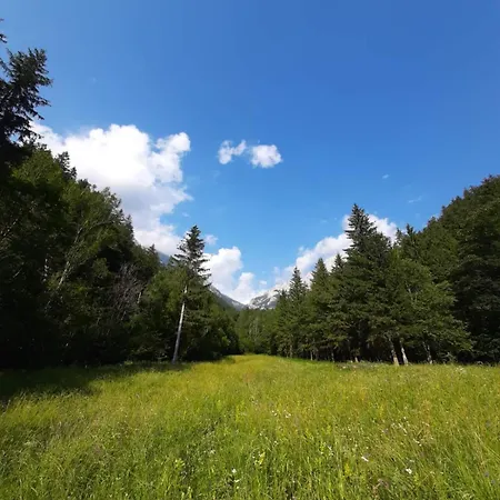 & Glamping Grintovec 豪华帐篷 普雷德沃尔